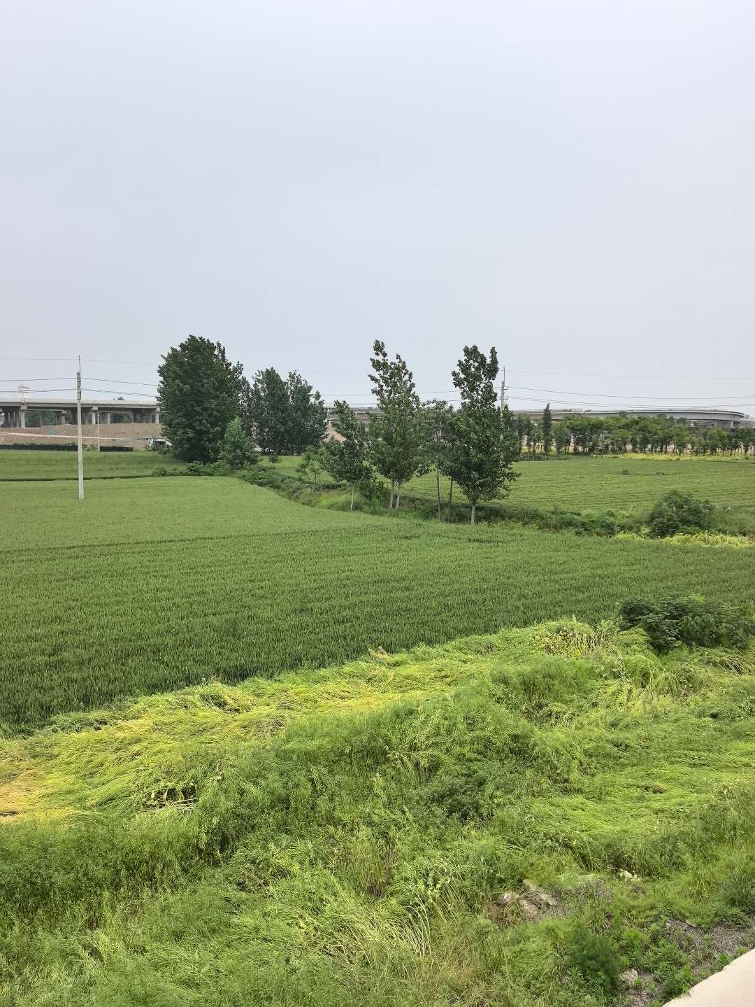诗和远方不如田园风光 人生感悟 情感共鸣