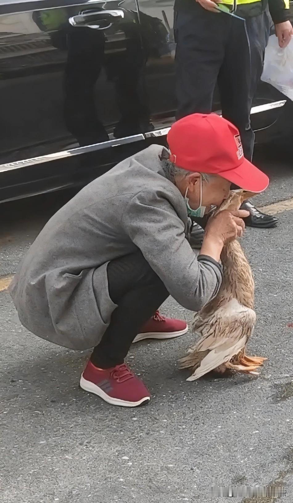 一位老人蹲在路上，边哭边抚摸着一只鸭子，而且把鸭子头紧紧地贴着自己的脸，久久不愿