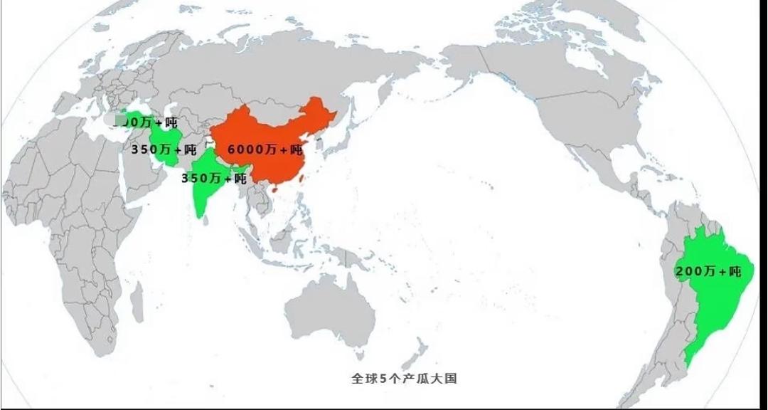 关于西瓜的几个“冷知识”:1、全球西瓜产量近些年基本稳定在1亿吨左右。2、中