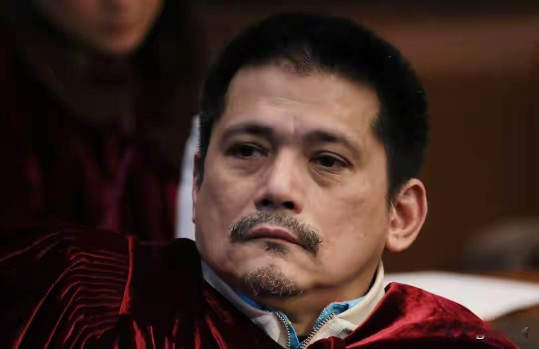 庭审过程出现裂痕，参议员兼法官罗宾汉·帕迪利亚当庭反对弹劾法庭传唤副总统萨拉·杜