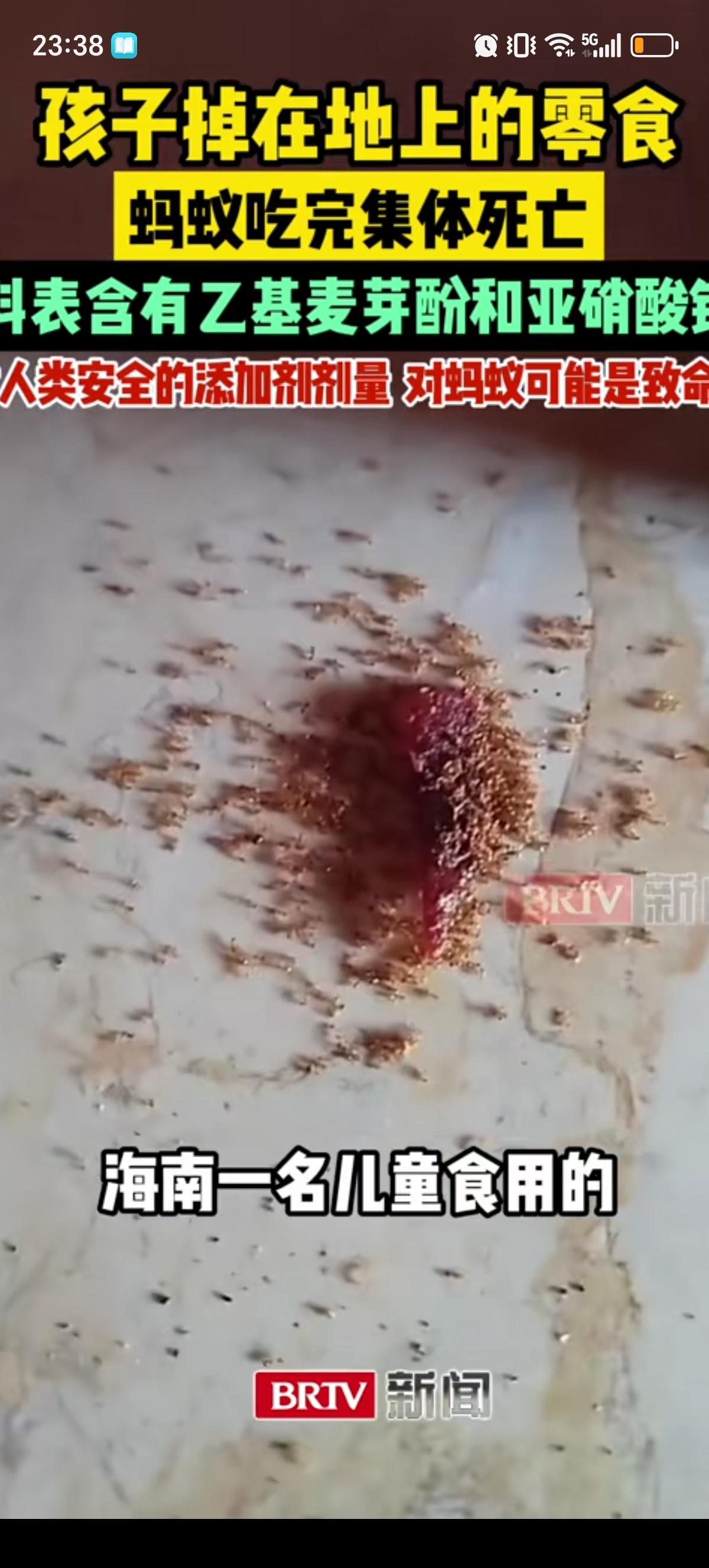 海南一个小孩吃的手撕肉干掉在地上后，引来大量蚂蚁啃食，蚂蚁吃了后集体死亡，无一生