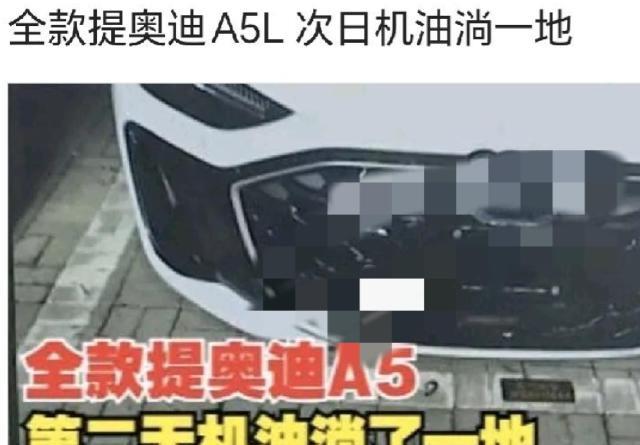 浙江金华，邵先生专程到杭州4S店，花255900元全款买了辆奥迪A5l豪华轿车。