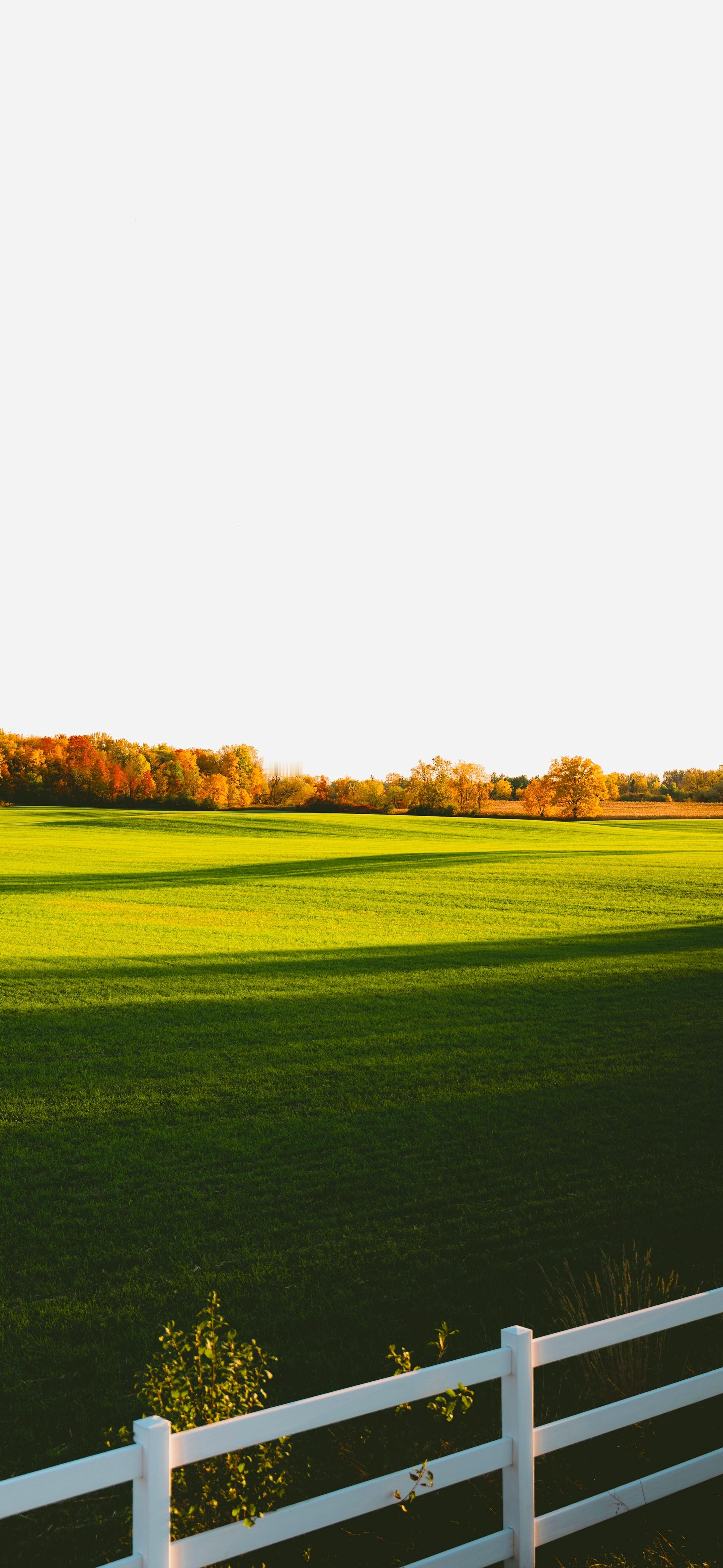 早，开工。今日份壁纸已送达～距离放年假倒计时两天！