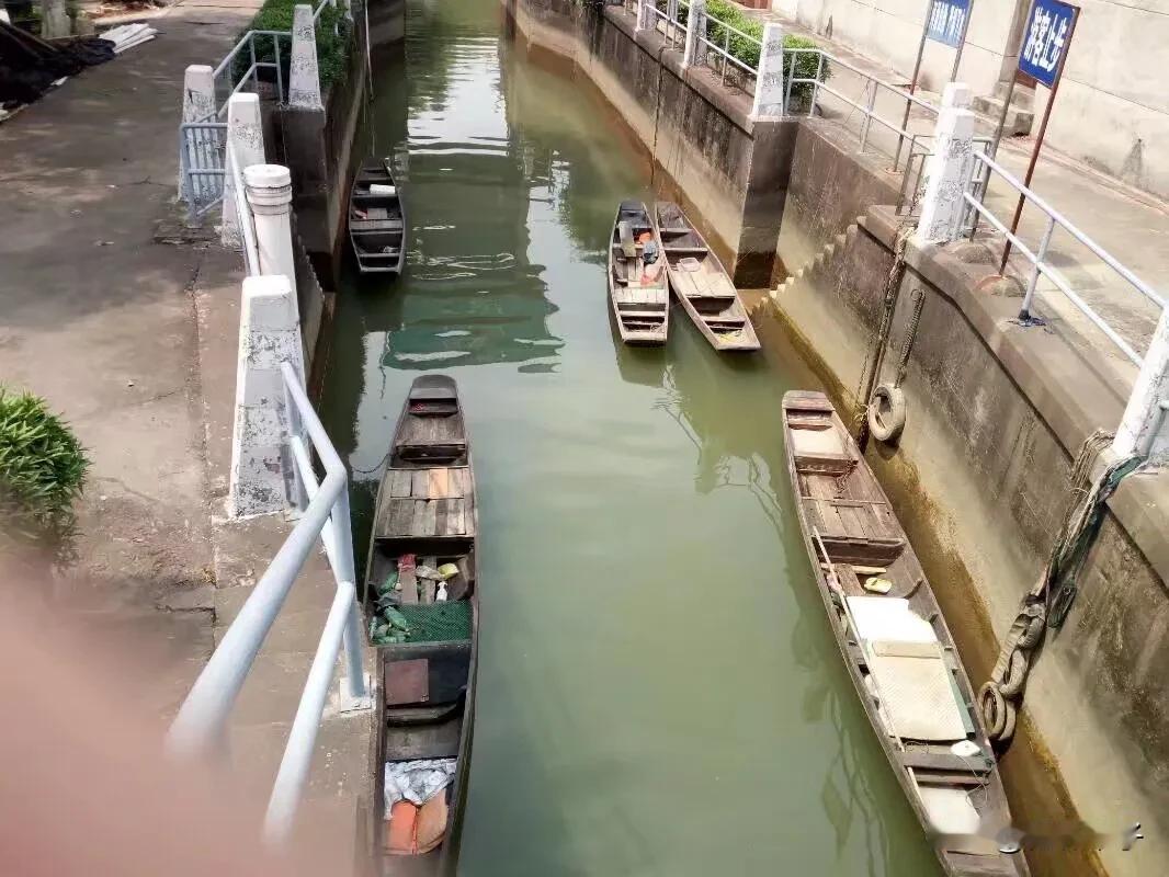 老杜声称至今还没收到“船票”，老杜儿媳小熊说雨点大，雷声小。老杜说，你