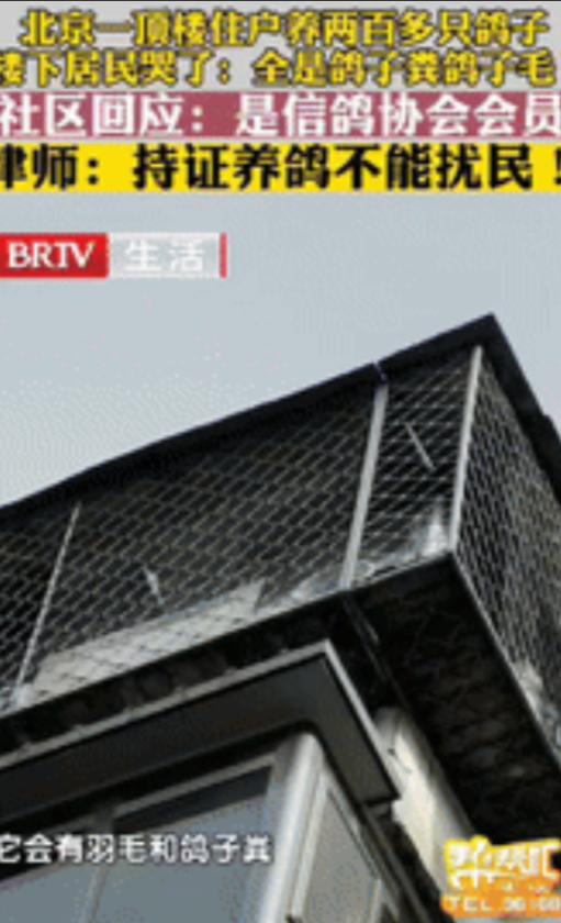 “太缺德了。”北京一男子花235万元买套房子，结果楼上邻居养了200多只鸽子，他