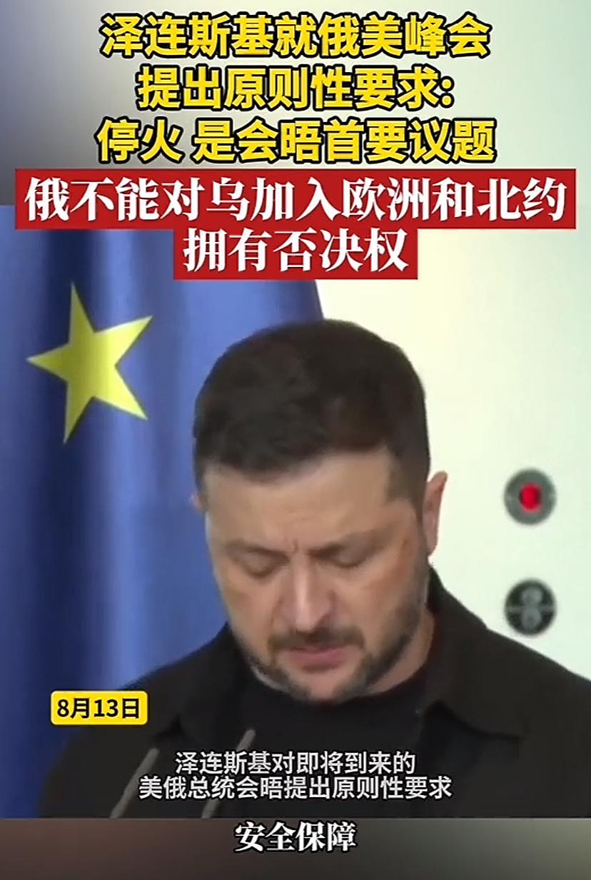 泽连斯基向美俄峰会喊话，提了三点要求：第一，要给乌克兰承诺安全保障。第二，大