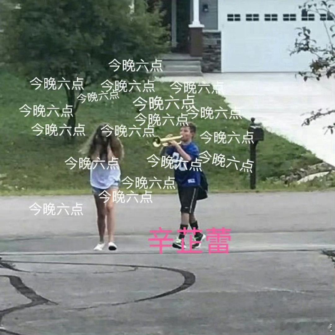 辛芷蕾人类的本质是复读机共情力强的人就容易这样，遇到打动自己的内容就忍不住反