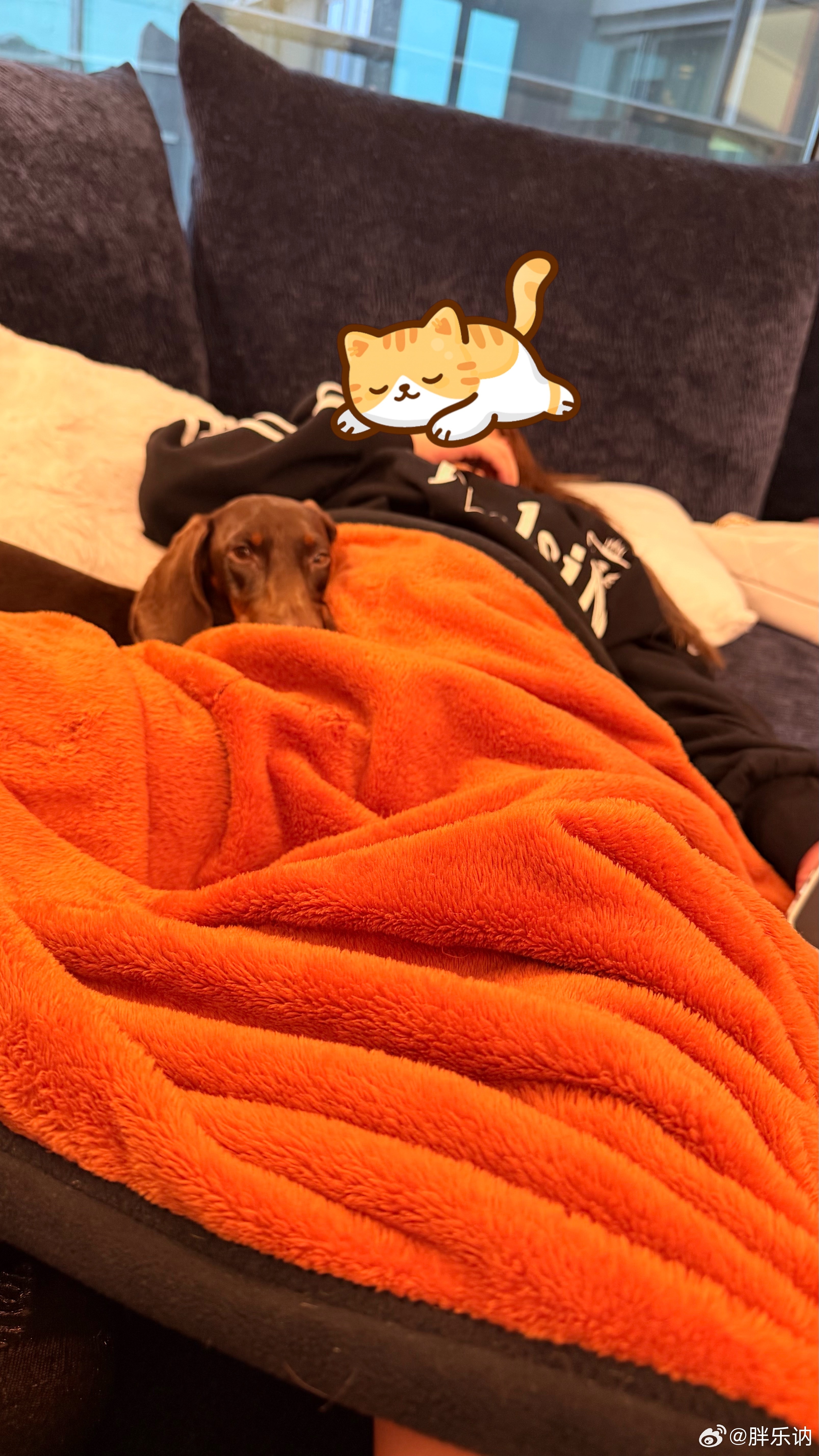 九年了终于喝倒你们了