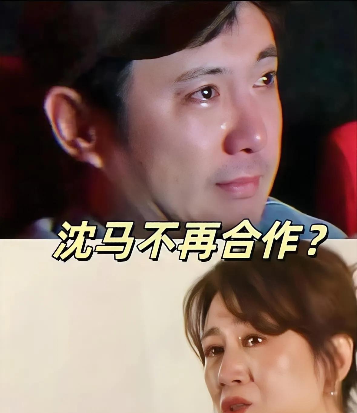 马丽，实在受不了就退圈吧！就算和沈腾不再合作或者退出娱乐圈，都尊重她。既然接