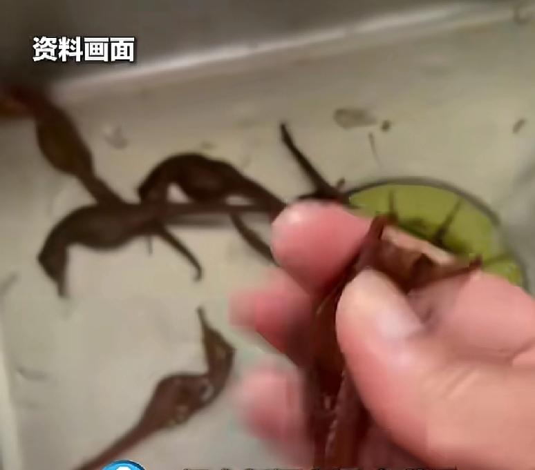 广东梅州一男子在十年前，买了很多稀有药材，就是为了泡酒，其中有自己花了大几千买的