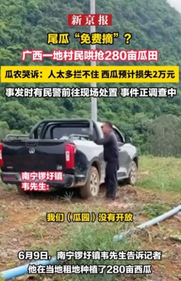 “尾瓜就可以随便摘？”广西南宁，一瓜农种植了280亩瓜田，还有最后一批青皮西瓜静
