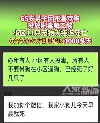 太执着了！北京一名女子因宠物狗被毒死，辞职寻找凶手！这事儿一耗就是三年多
