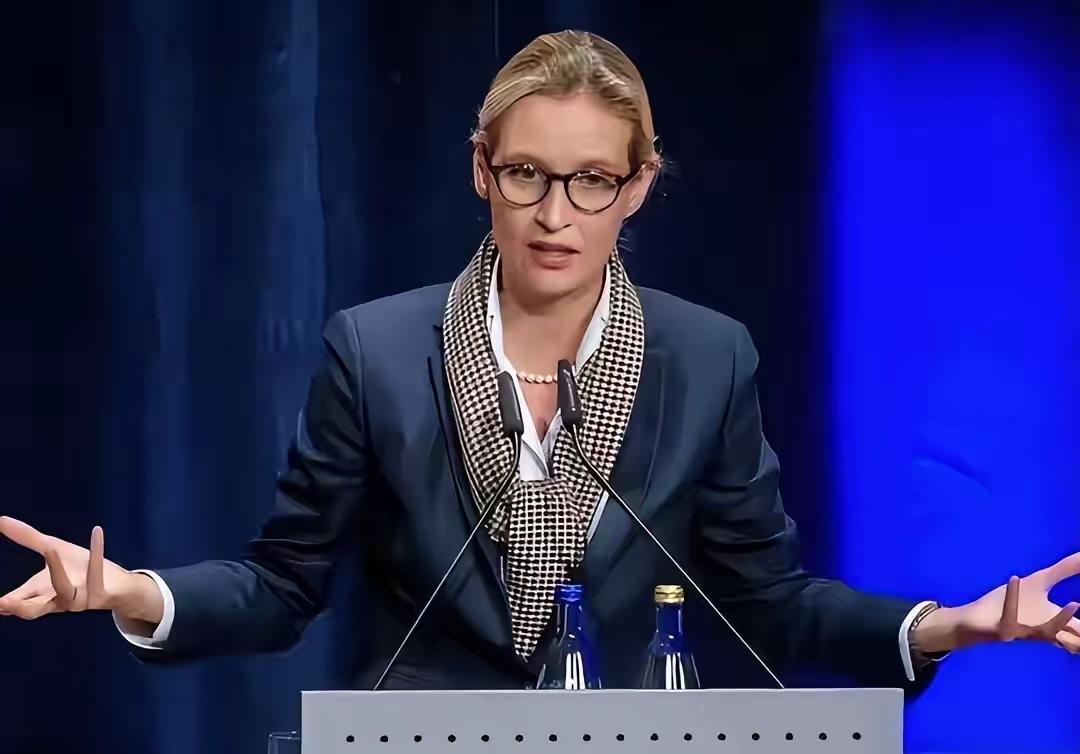德国选择党掌门人魏德尔的言语惊动了整个德国。虽然她还未成为总理，但是她的言语已经