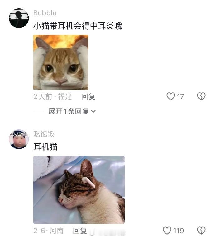此猫的忧郁程度怕是在我之上