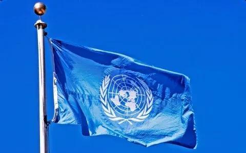 联合国对以色列出手了！联合国人权理事会第59届会议，就巴勒斯坦被占领土人权状况，