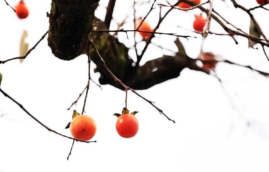 多年以前我的一个开美容院的朋友买了套法拍房，准备装修一下把美容院搬过去。手续齐