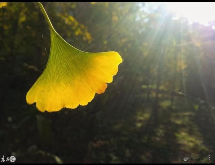 人生上半场已过，无论过得多么不如意，已经过去了！人生的下半场不要重蹈覆辙了！
