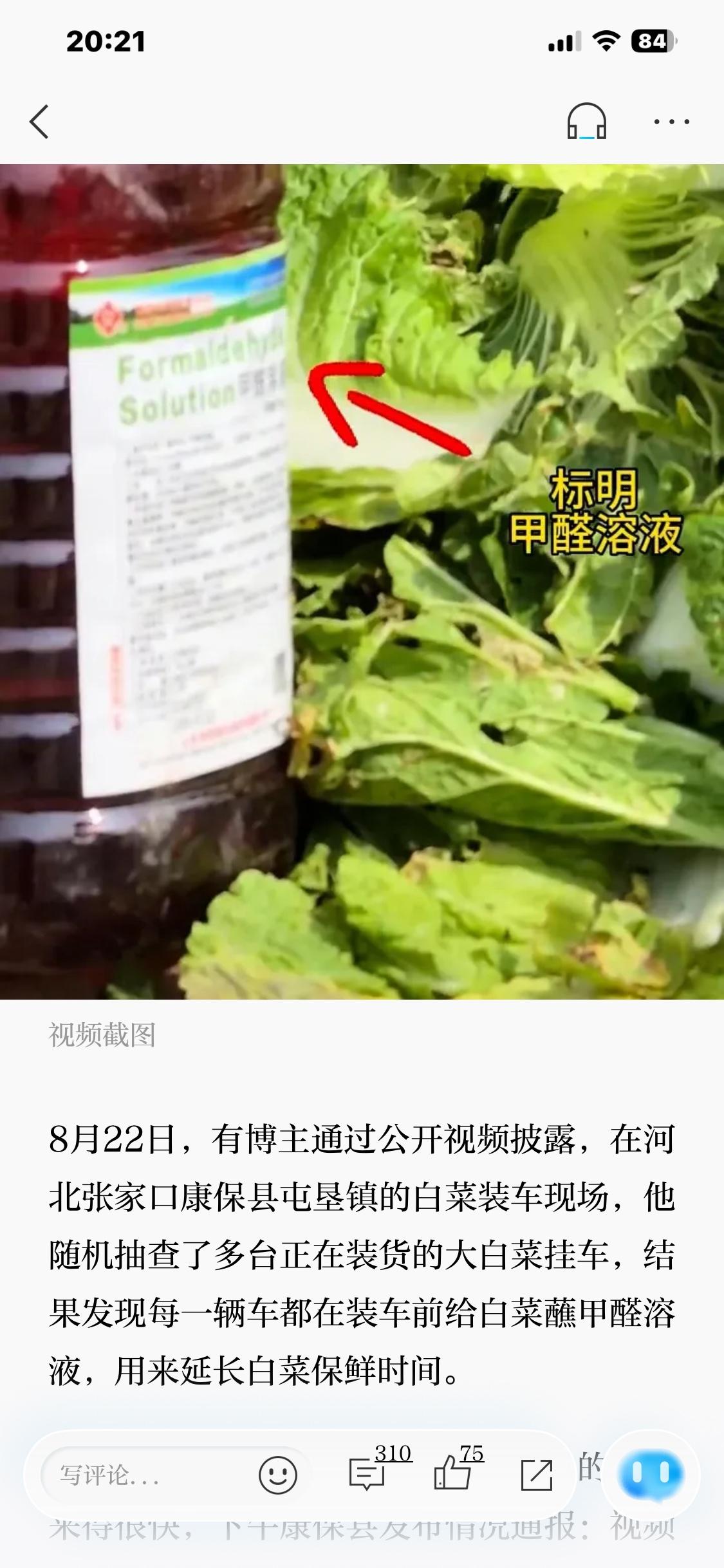 “甲醛白菜”又流入市场澎湃新闻报道，8月22日，河北张家口大白菜，车车喷
