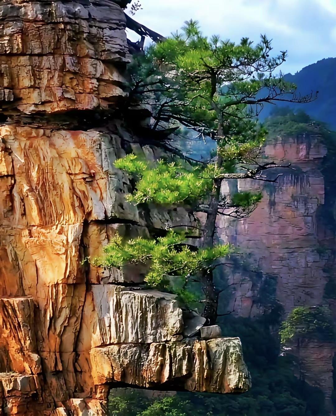 中国地名歇后语；1.夏天穿棉袄——武汉（捂汗）2.两个胖子拥抱——合肥3.一路平