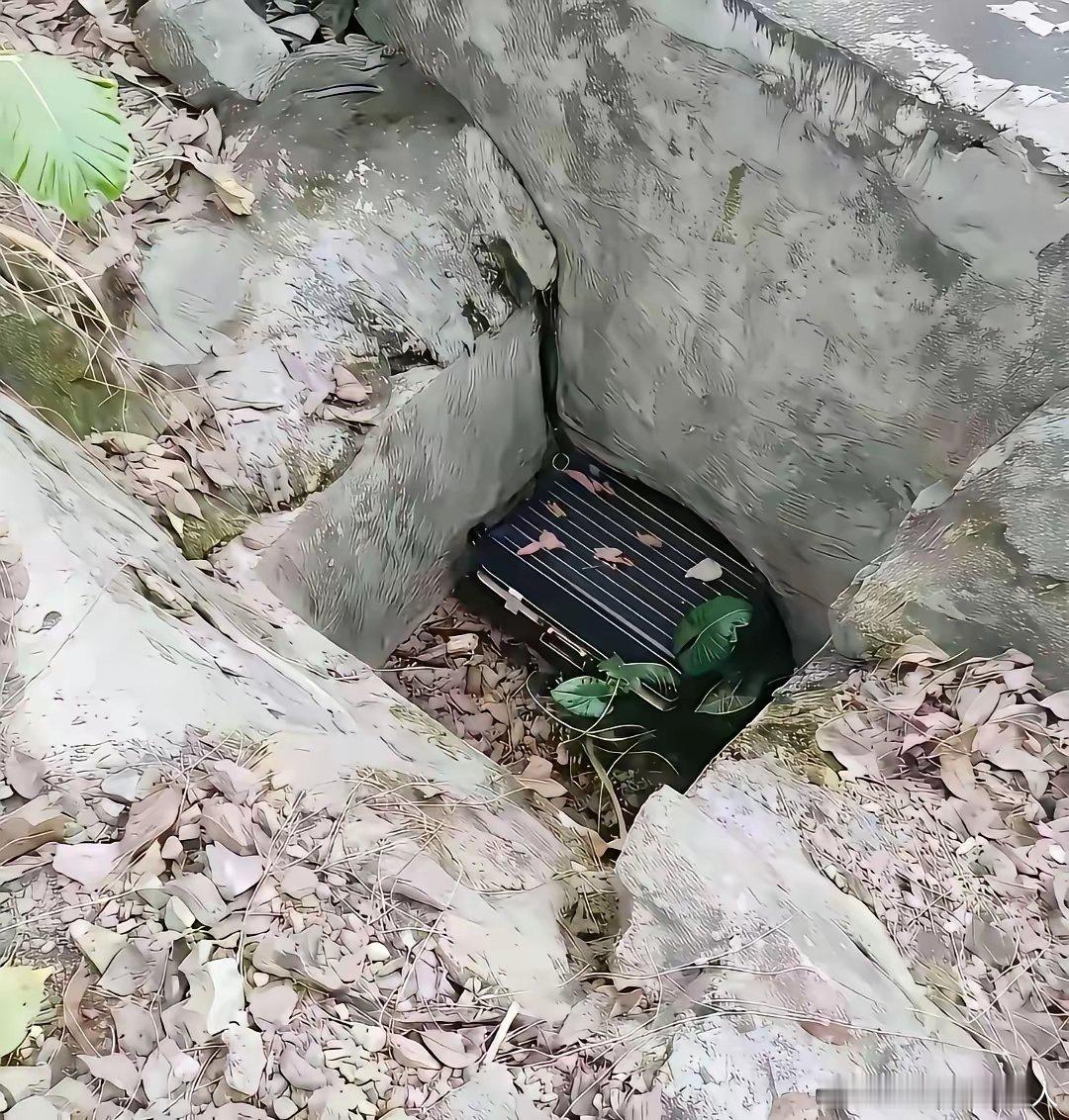 在马路边看到这个，你的第一反应会是怎么做。