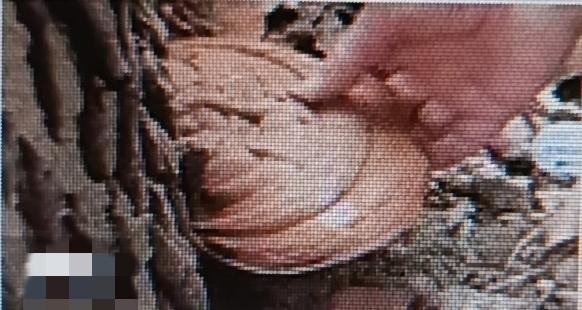 秋天到了，有两种好物知道的人太少，常吃能让免疫力变强，睡眠和状态都变好。一是莴