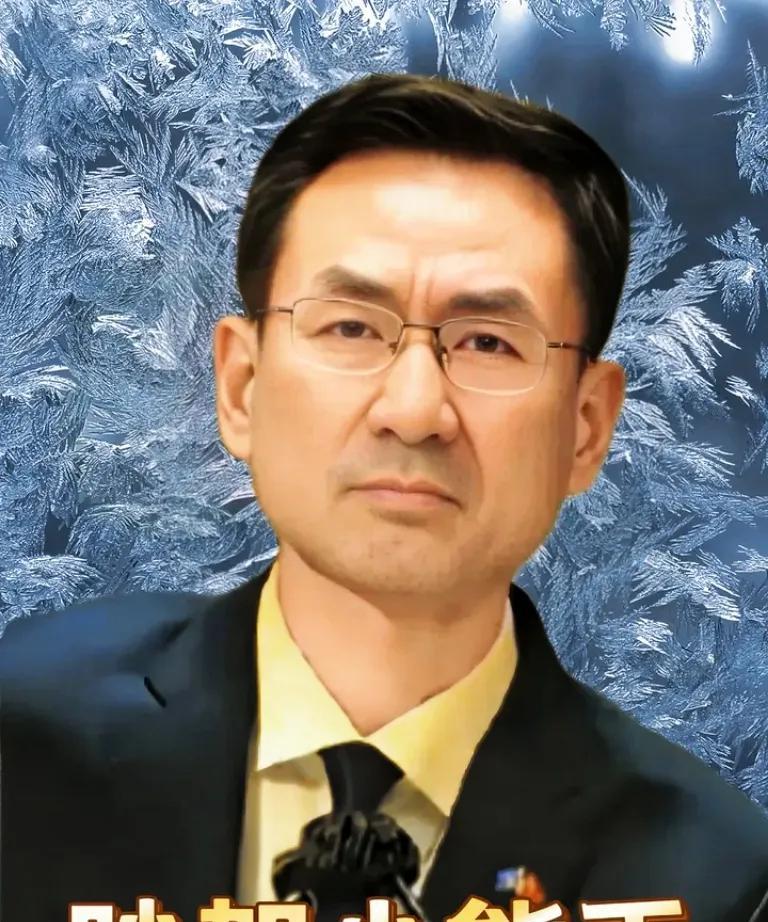 爆了！爆了！耿爽要回国的事儿一传出，网上瞬间炸开了锅！那个被称为“国际战狼”一