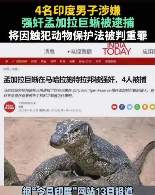 现在民间对与印度交往都非常警惕，呼声最大的七条，我摘录一下：1、印度必须无条件