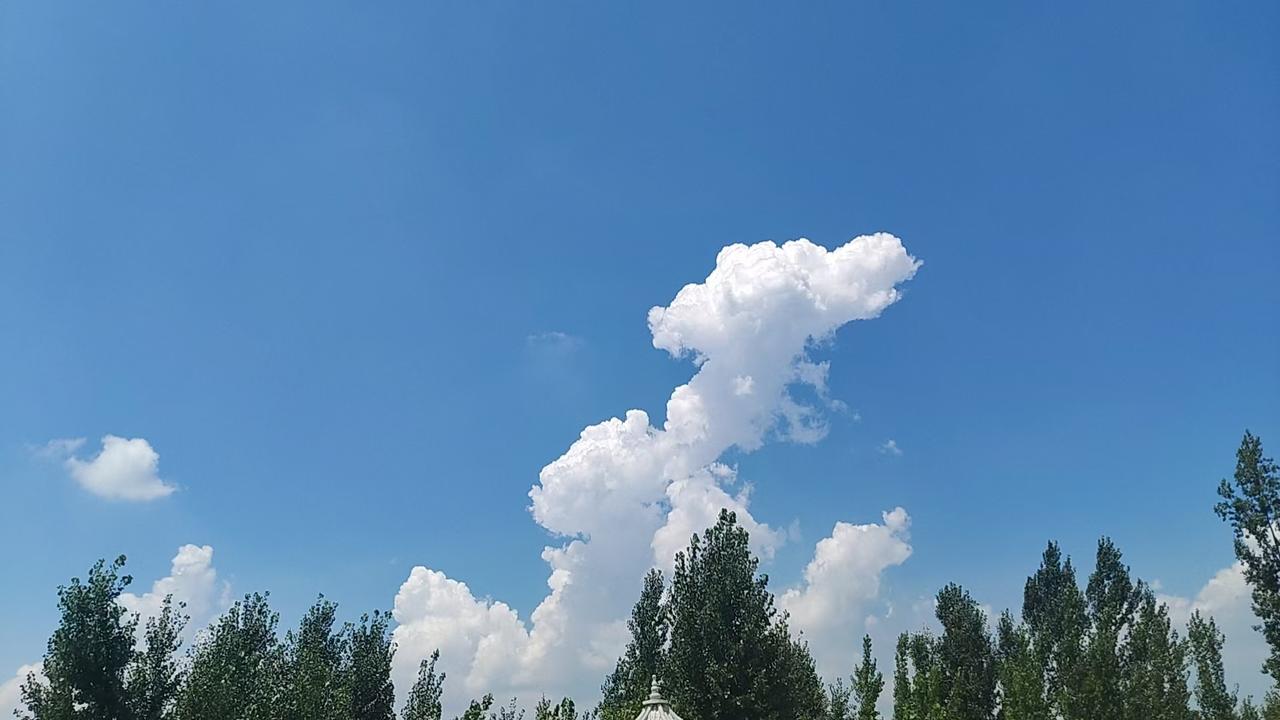 钱都去哪儿了？为什么我们明明拼命搞生产，内需却始终拉不起来？不知道大家有
