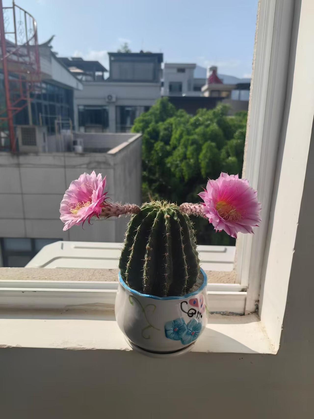 给有姑娘的家庭提个醒，找对象千万别找兄弟两个的。小叔子要结婚了，公婆直接在