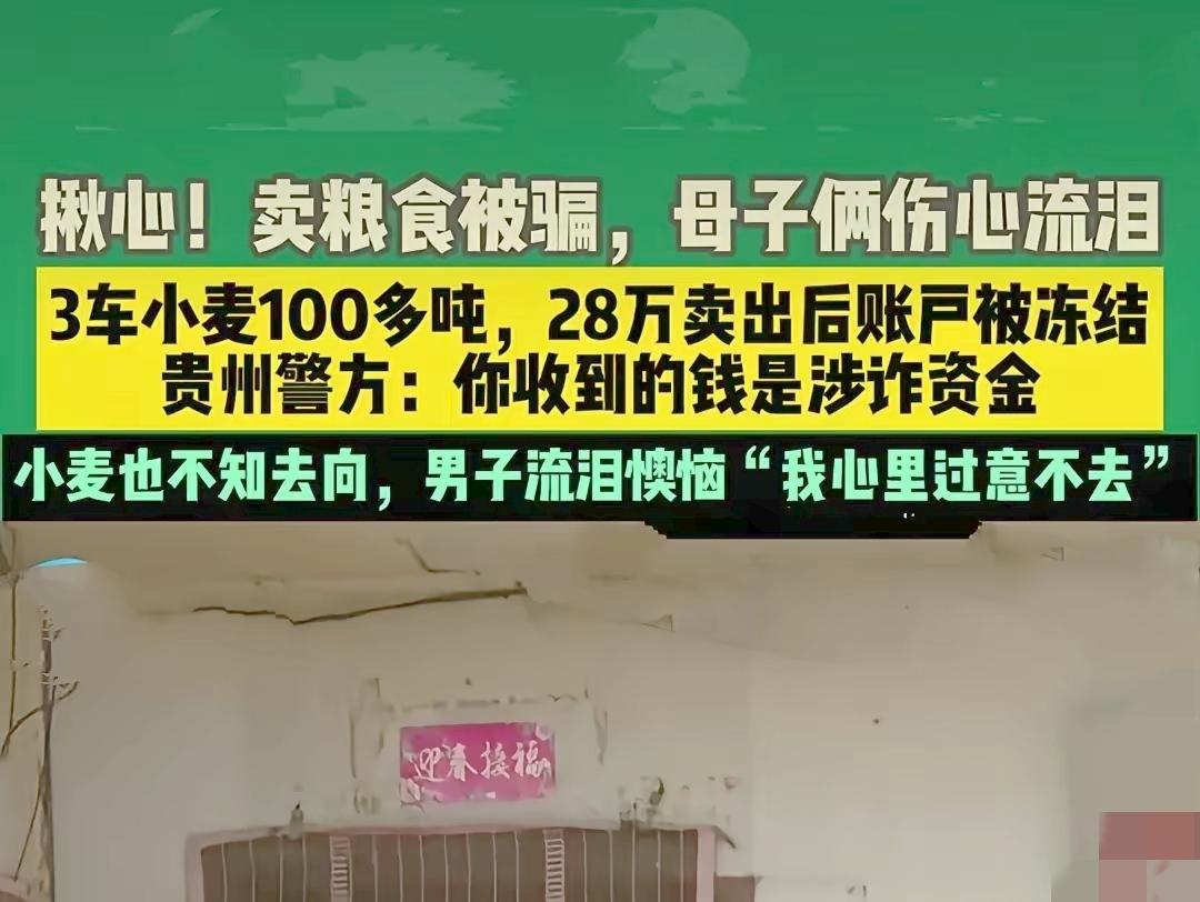 河南母子卖粮钱被冻?追赃别让老实人买单!这事儿看得人太揪心!河南母子卖10
