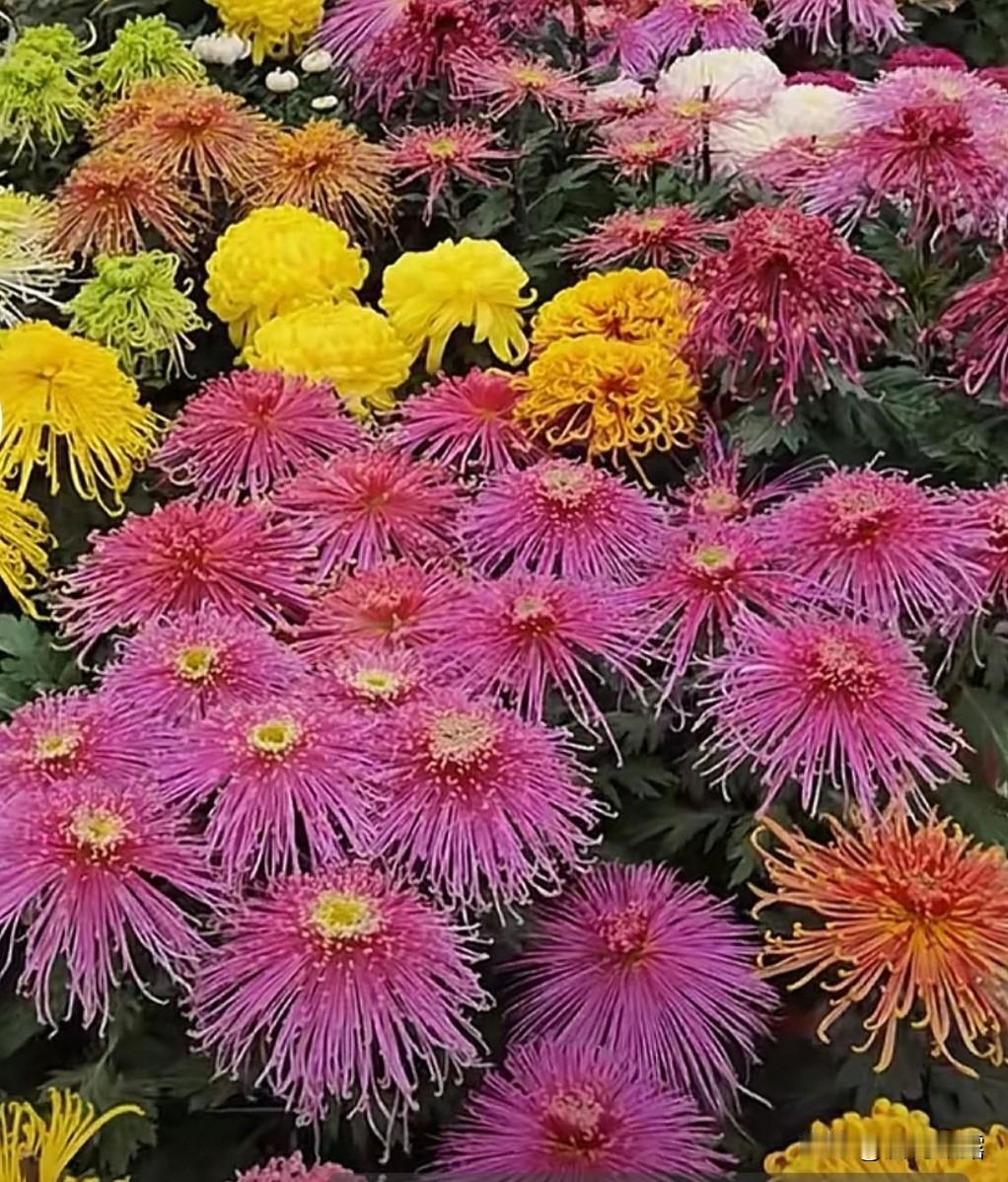 人生就像一张有去无回的单程票，没有彩排，没有重来。珍惜眼前的，把握拥有的，好好活