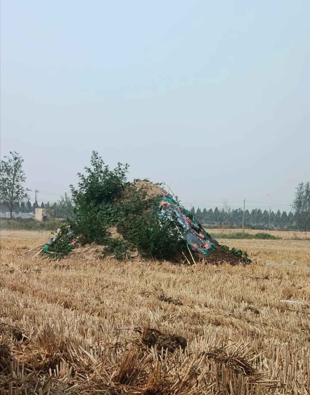 人累死之前，心早就凉透了。我那表哥，去给10多亩麦地打农药，结果，直接把喷头对