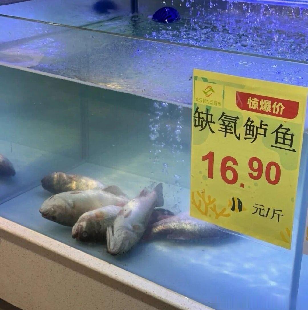 6266这销售鬼才