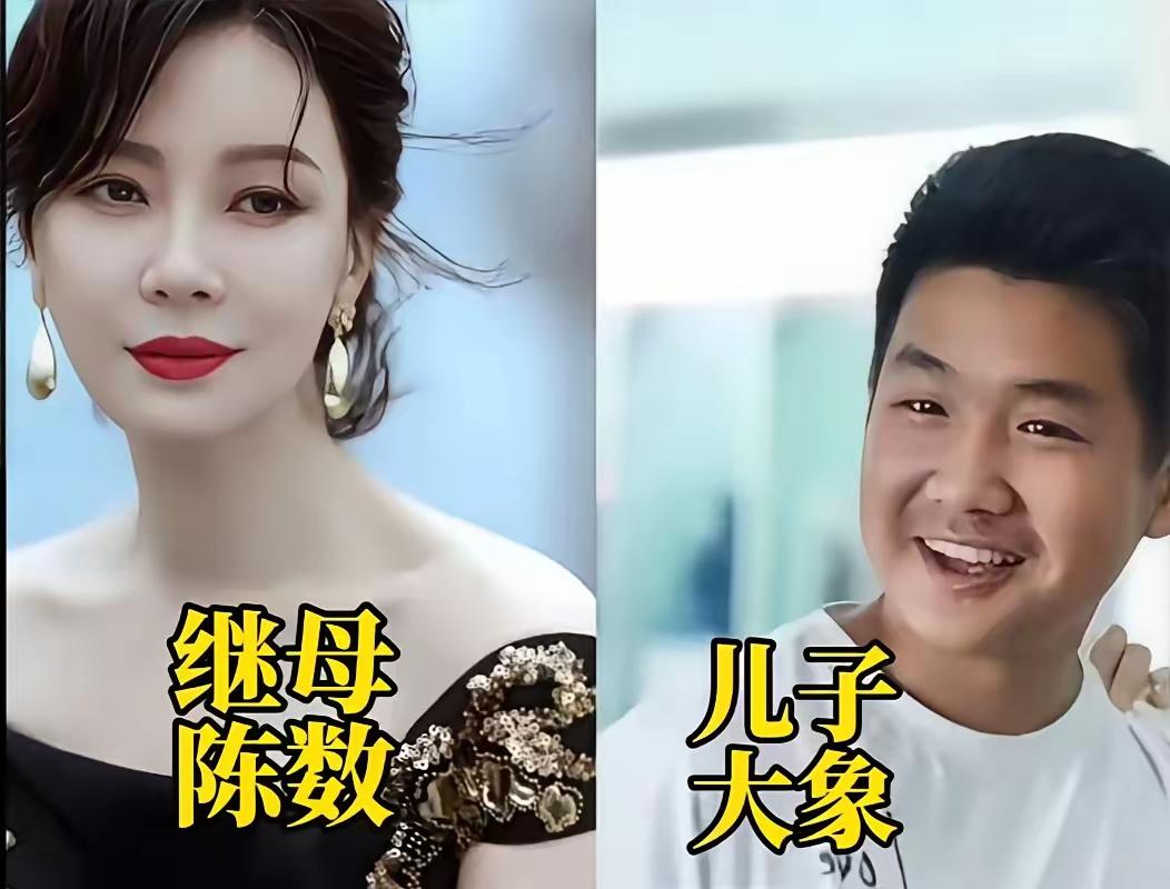 刘蓓、郑卫莉等几位实力派女星，身为后妈素来低调不炒作，荧幕上演技出彩，生活里温柔