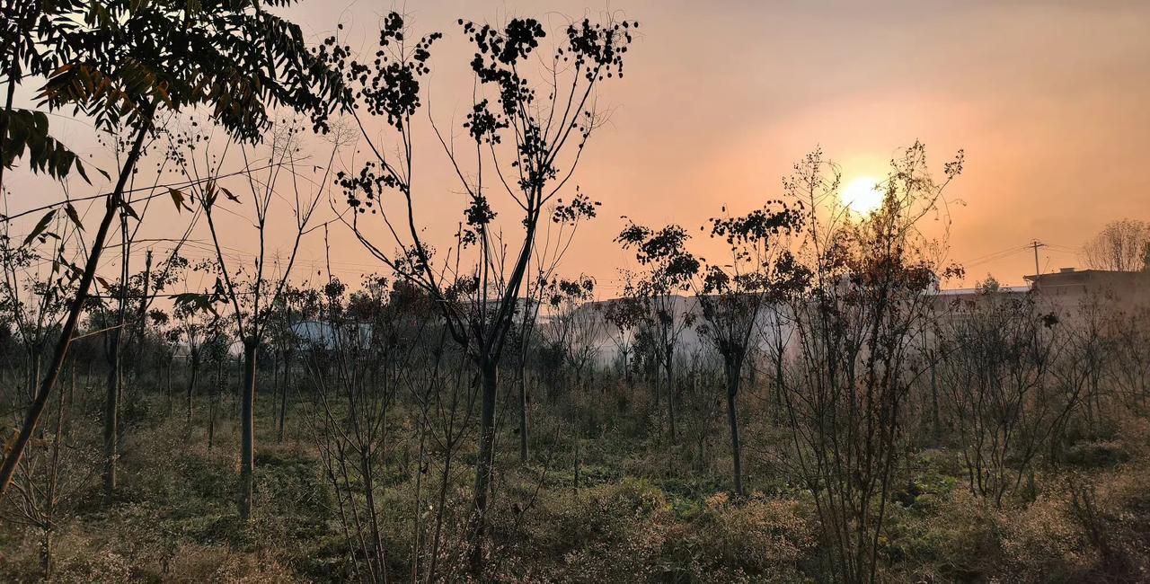 37岁，没车没房没存款，我活成了最孤独的人。过完年就37岁了，自己活了半辈