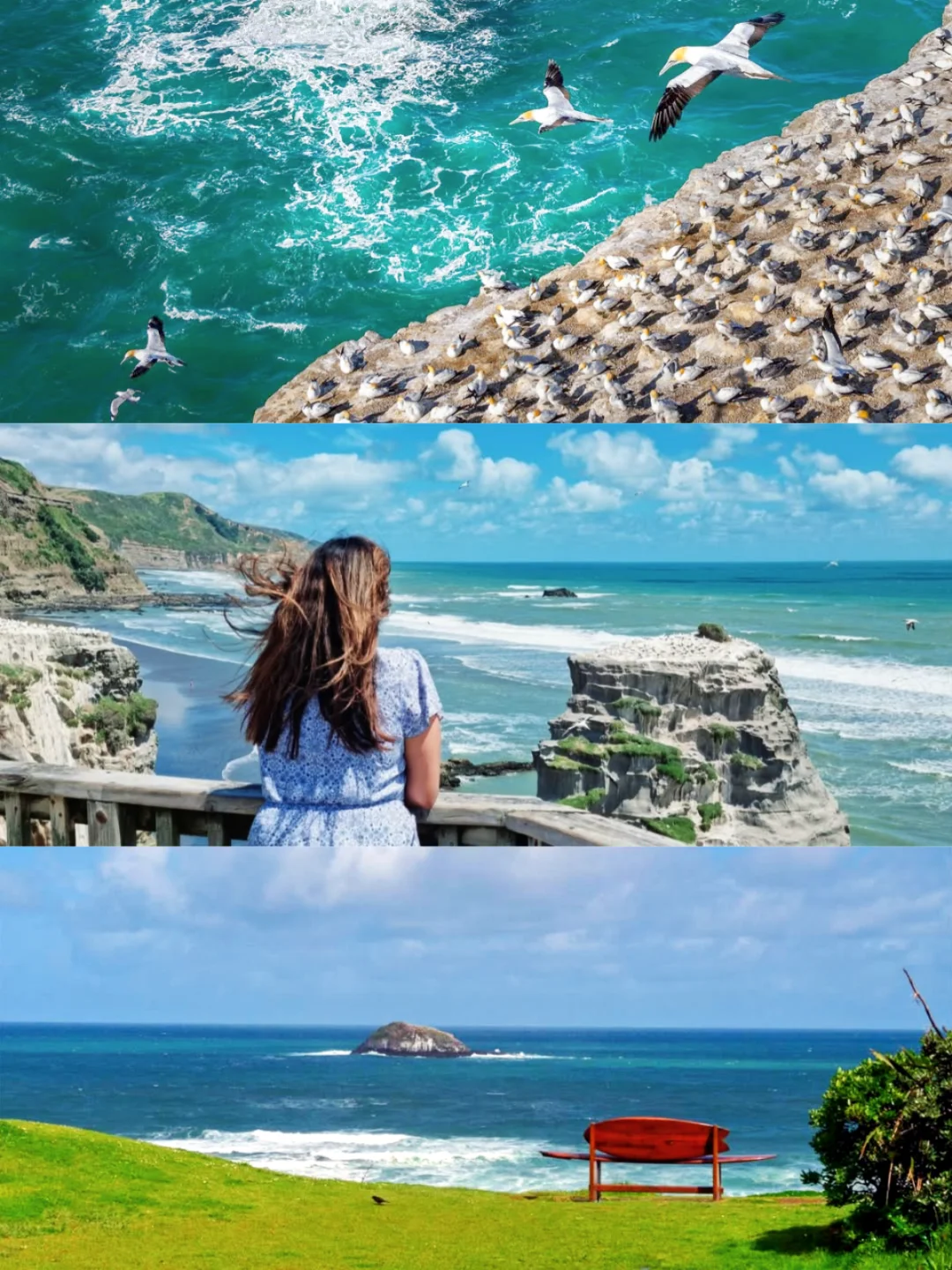 🔵奥克兰周边40分钟,如果只去一个地方..