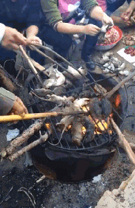 爆笑GIF: 妹子, 没事逗猪干嘛呢?