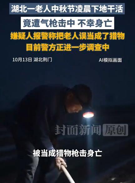 湖北荆门，64岁老人凌晨到地里干活，结果被男子持枪两枪打死。案发后，男子主动投案