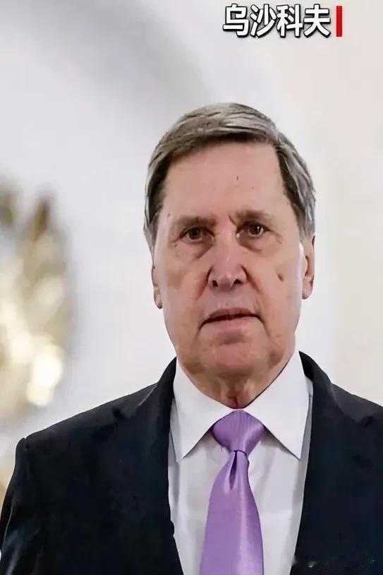 12月12日，据央视新闻和俄罗斯《消息报》报道，俄罗斯总统助理乌沙科夫公开喊话，