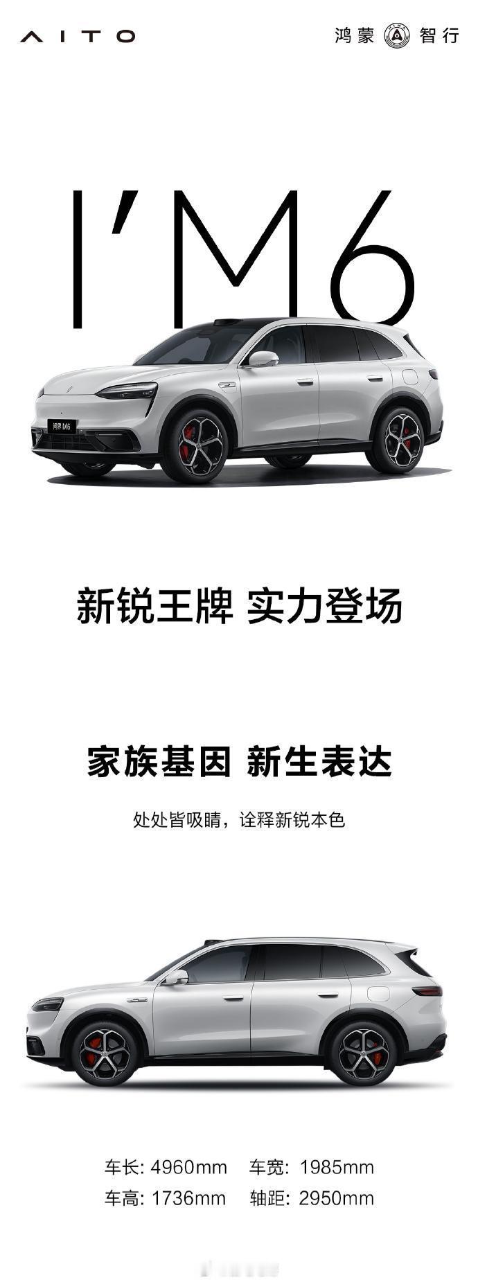 工信部申报名单中少不了问界M6-车身尺寸：4960x1985x1736