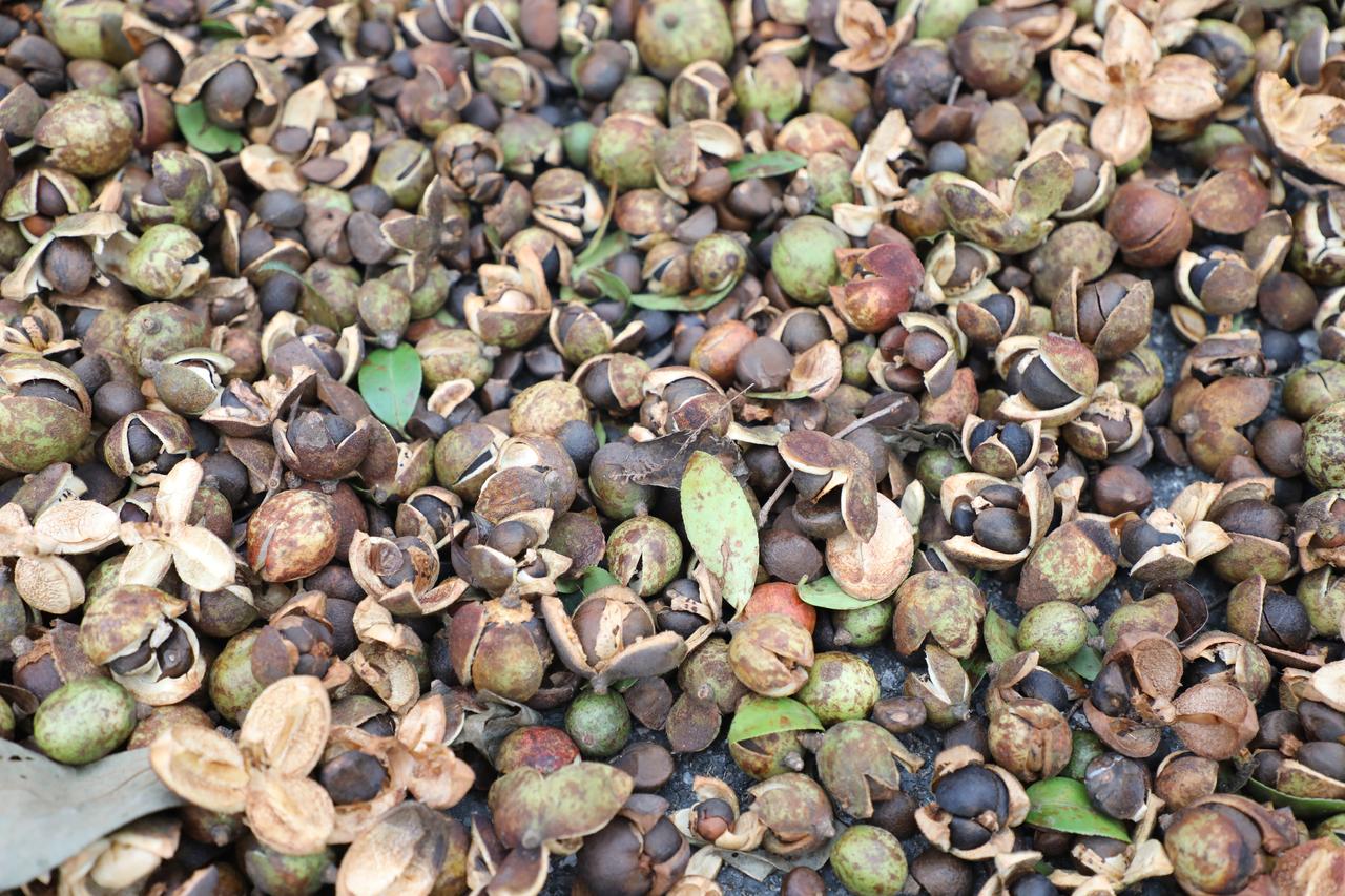 现在还有年轻人认识这是啥吗？估计很多年轻人不知道是什么。今日看到一地的这玩意