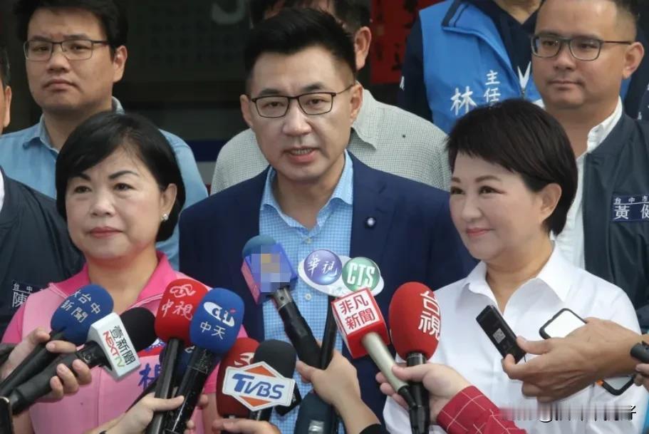 蓝营九合一提名办法出炉，杨琼璎、江启臣谁接棒卢秀燕明年初完成协调岁末年终蓝绿