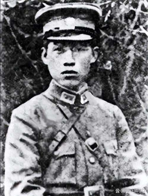 1938年7月，国军少将张岚峰率部投日。不久后他的弟弟张俊峰和日军发生纠纷，被日