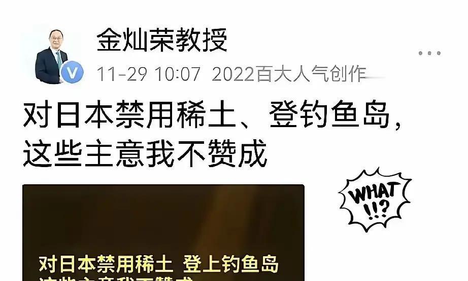 金灿荣教授：对日本禁用稀土、登钓鱼岛，这些主意我不赞成！当初看到金灿荣教授说
