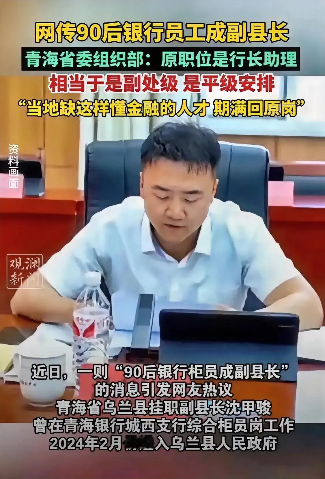 你还能如何评议？企业领袖转瞬成为政府官员，而且这一切均在法律框架之内，令人难以指