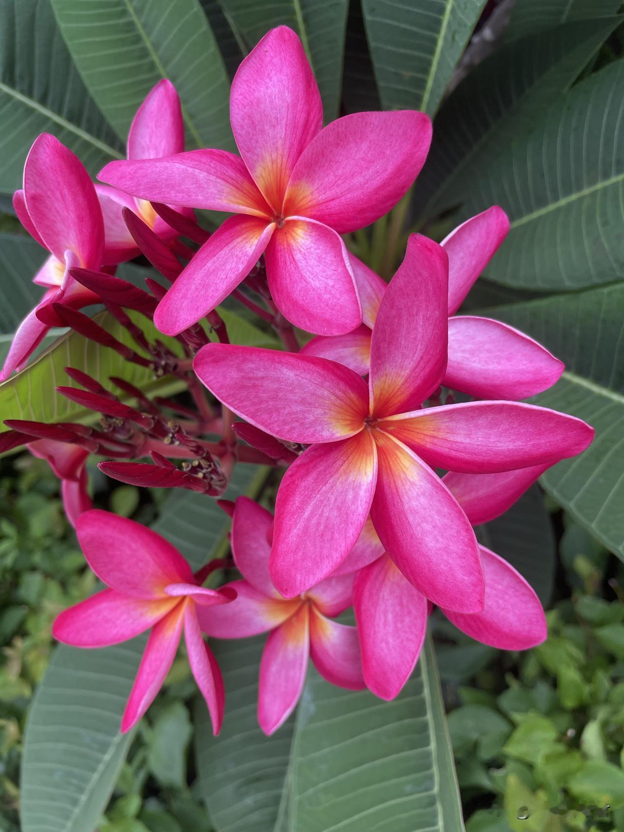 要高彩礼，结婚时间较短，高彩礼是拿不住的。一女子，从28岁开始到34岁一直在相亲