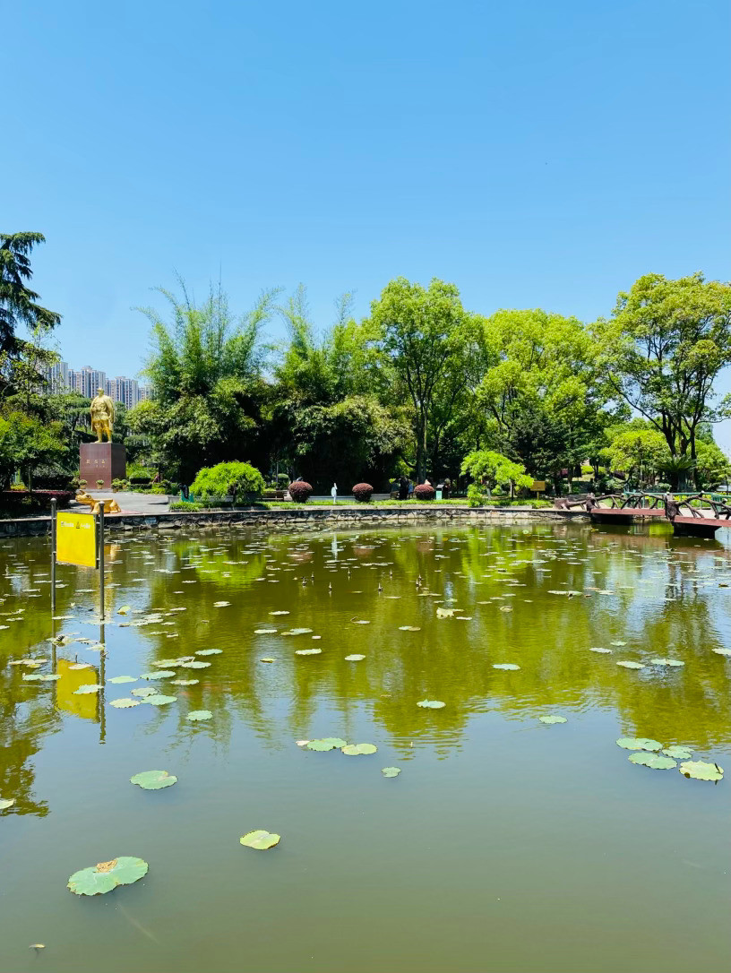 生活手记记录真实生活摄影摄影摄影晴日的风穿过林梢，携着初夏的暖意，落在公园的池