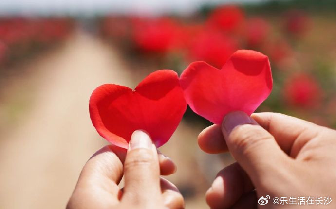 【男性感染HPV后更为隐秘】有些人认为，只有女性会感染HPV，但其实男...