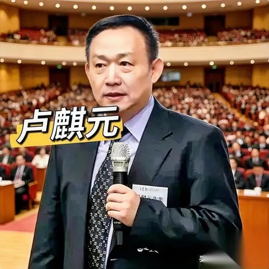 刷了几条卢麒元的切片我后背直冒冷汗他被全网围堵真的太正常了。那些天天