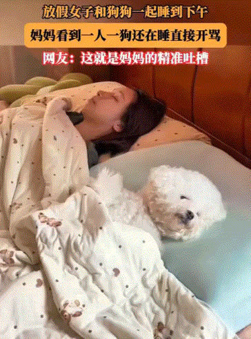 笑不活了！放假期间，女子和狗子从头天晚上一起睡到第二天下午三点，女子妈妈怒气冲冲